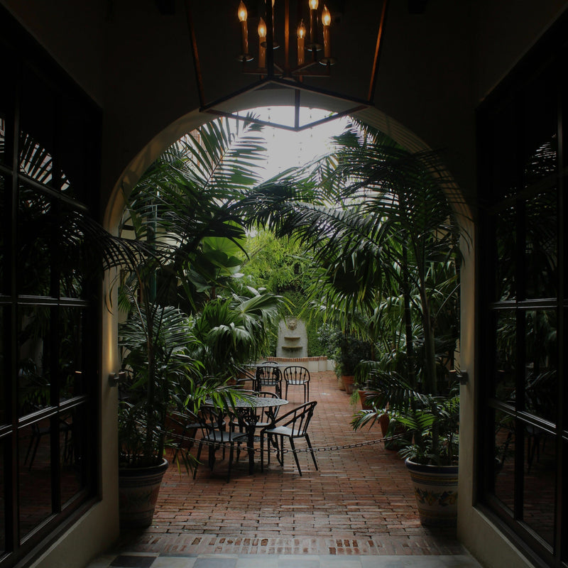 Jardín y exterior