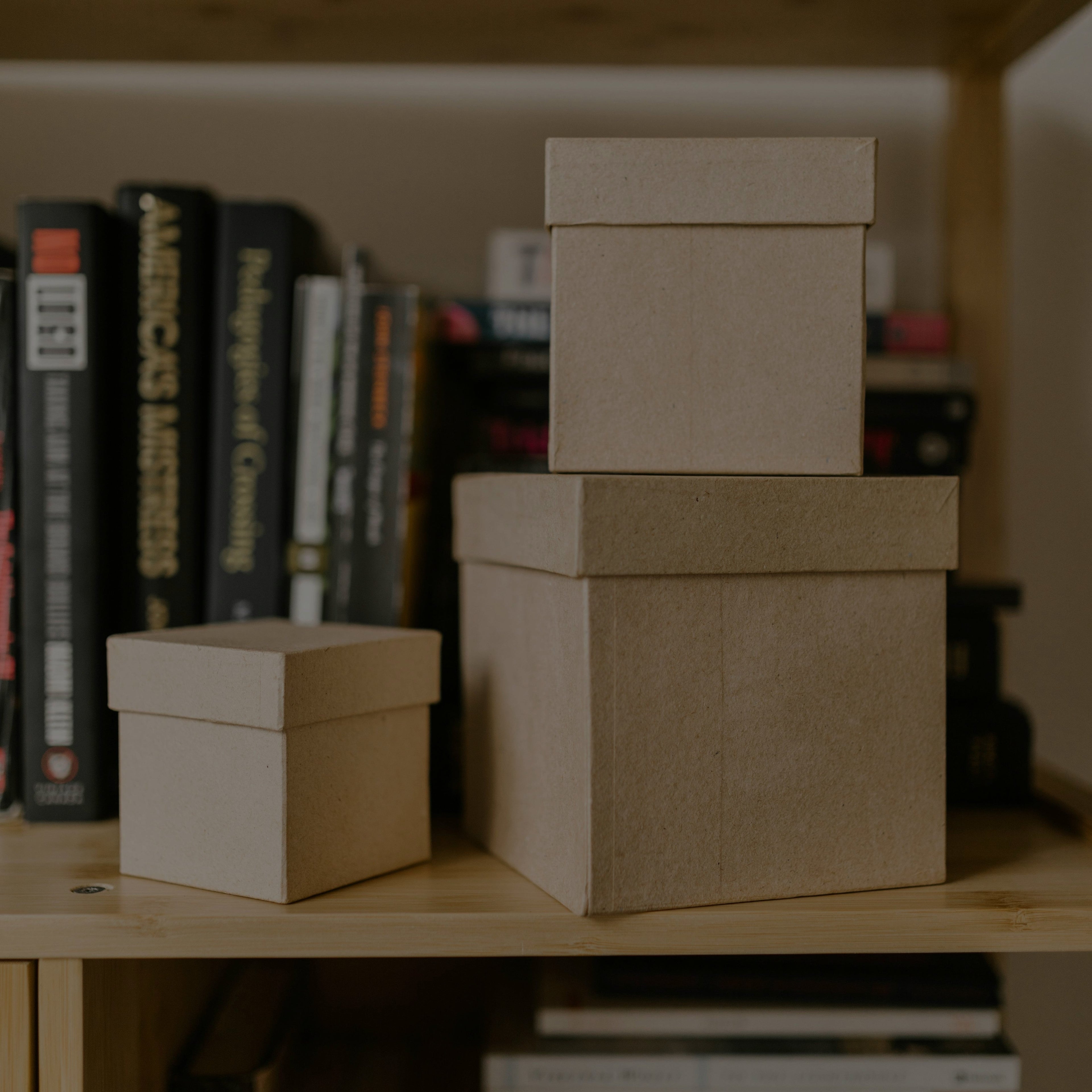 Organización y almacenamiento