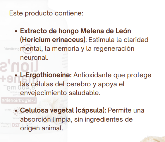 melena de leon con ingredientes naturales, suplemento para consumo diario