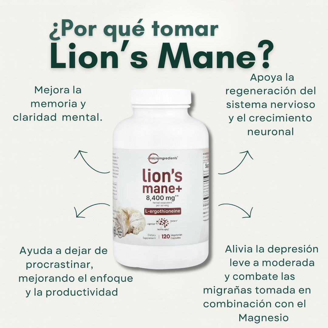 Suplemento de melena de león en cápsulas para mejora cognitiva